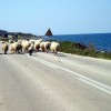 2007.04.01. - Samothraki